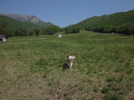 c0114929_1145477.jpg