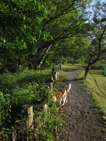 c0114929_114825.jpg