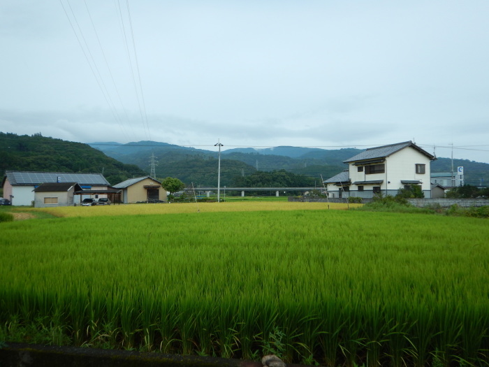 a0248230_13385622.jpg