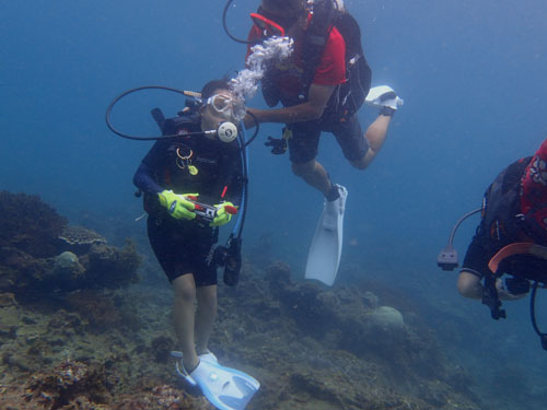 d0164831_601630.jpg