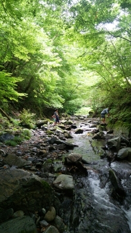 c0267235_22214846.jpg