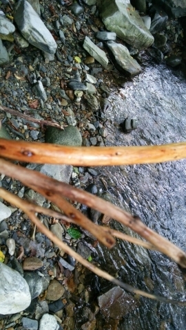 c0267235_22215267.jpg
