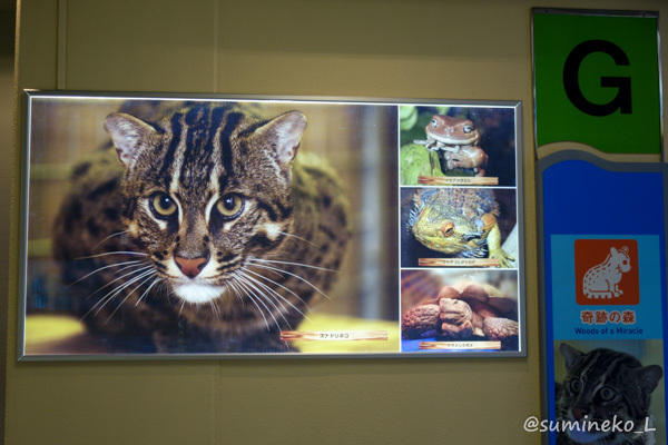 15 04 30 鳥羽水族館 奇跡の森 墨色の鳥籠