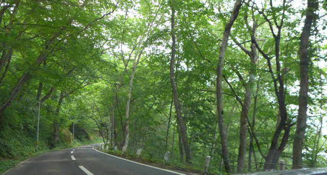 夏休みの旅行２日目（郡山〜十和田湖）_b0300051_21254312.jpg