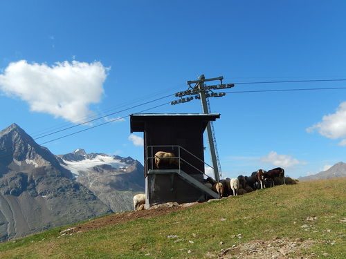 チロル山歩き第4日（8月6日）　Wildes Mannle (3023m)_a0089754_5192823.jpg