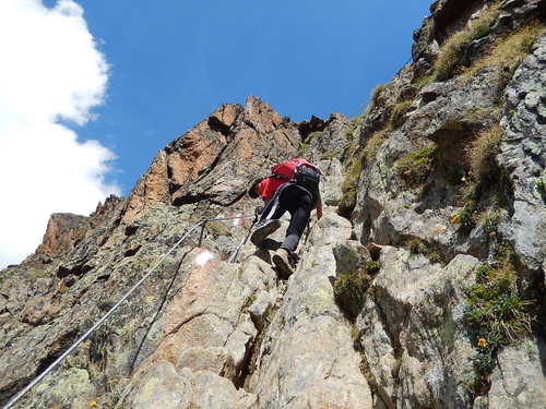 チロル山歩き第4日（8月6日）　Wildes Mannle (3023m)_a0089754_5253524.jpg