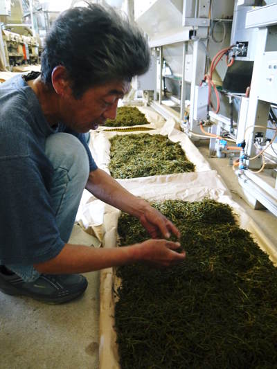 菊池水源茶　有機栽培の『菊池水源紅茶』販売に向け、製造工程を取材してきました_a0254656_19545268.jpg