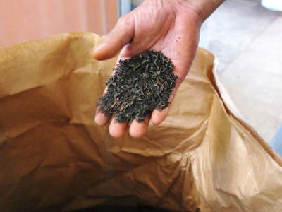 菊池水源茶　有機栽培の『菊池水源紅茶』販売に向け、製造工程を取材してきました_a0254656_1973313.jpg