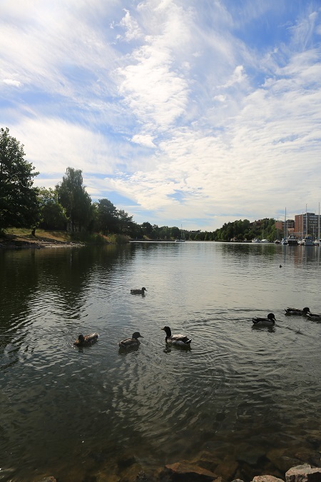 e0262257_07555708.jpg