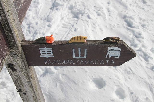 車山では車に乗らなかったつぼ_c0305758_23501694.jpg