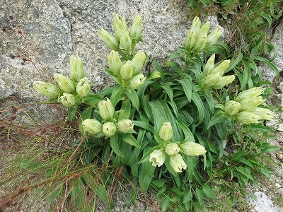 e0170558_00313291.jpg