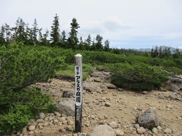 d0164761_9395914.jpg