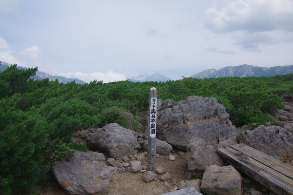 d0164761_9425850.jpg