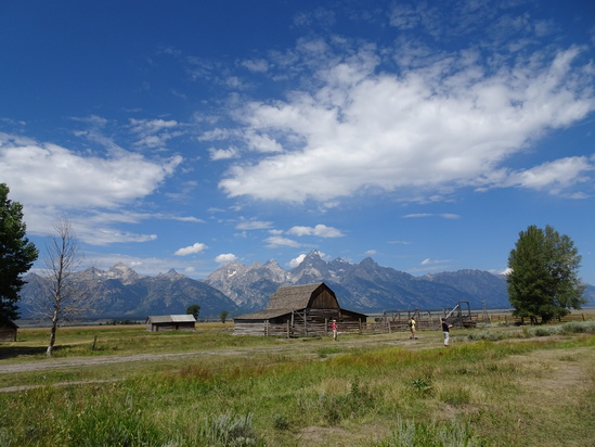 d0193569_201153.jpg