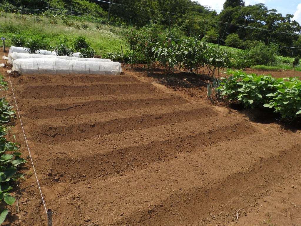 f0323171_07435691.jpg
