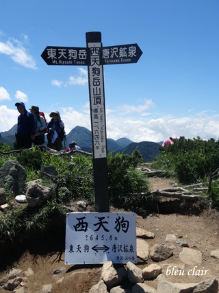 夏の登山＠八ヶ岳_b0270372_12072495.jpg