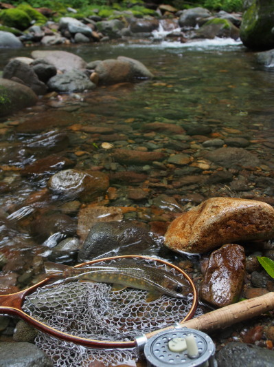 c0197578_1516546.jpg