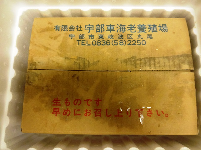 e0264287_923915.jpg