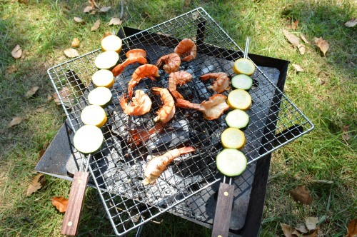 京浜島つばさ公園でBBQ_d0226492_08000818.jpg