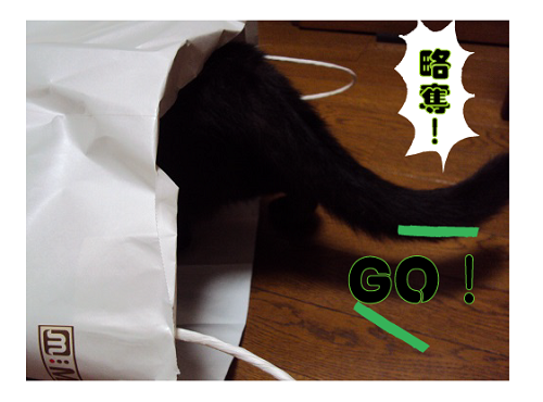 盛り上がりは、それぞれ。。。_a0333195_10180662.png