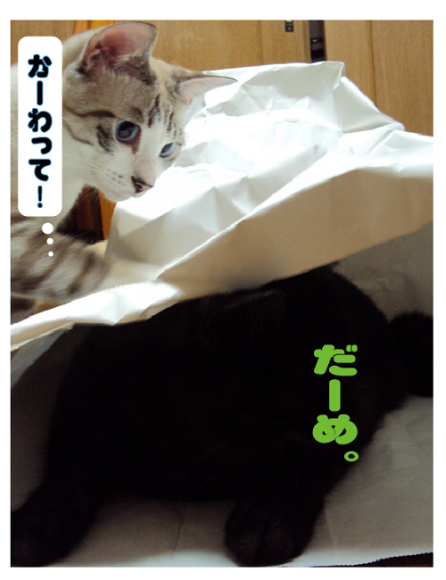 盛り上がりは、それぞれ。。。_a0333195_10220367.png