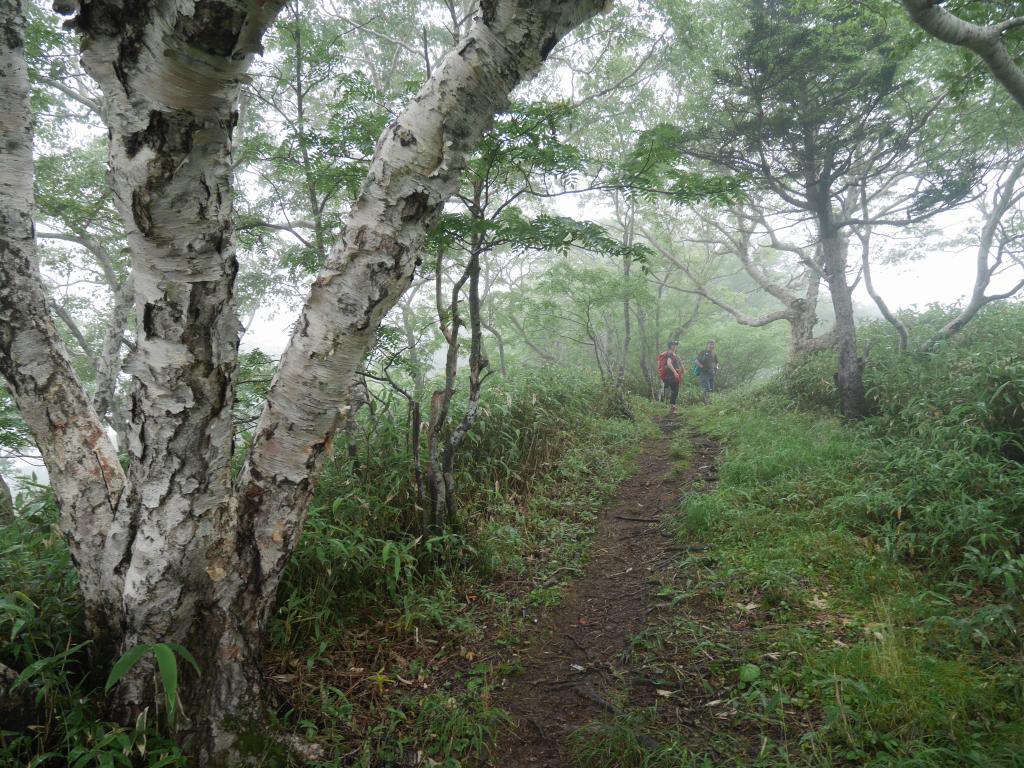  ホロホロ山と徳舜瞥山、8月16日_f0138096_1050835.jpg