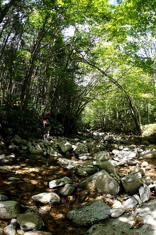 Ｙの郷　平和が、、、_c0339900_1932351.jpg