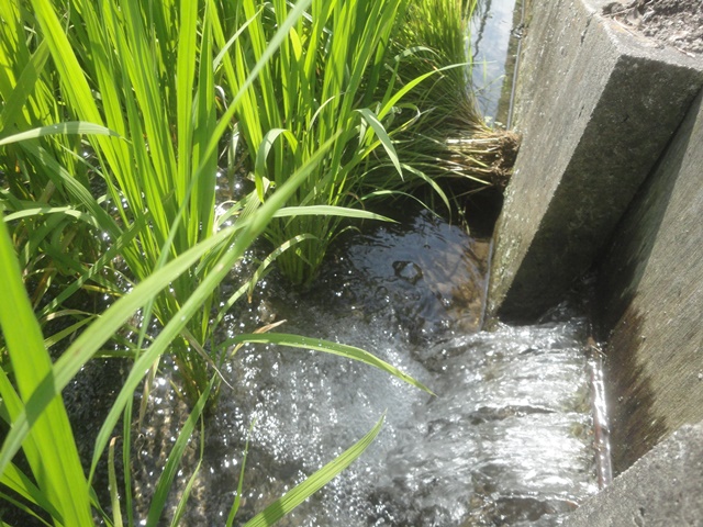 f0231709_20453130.jpg
