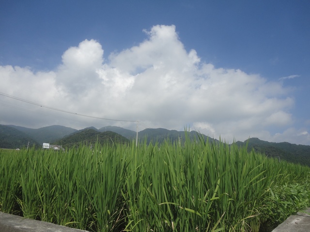 f0231709_20461245.jpg