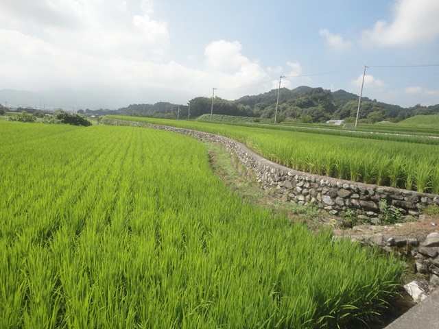 f0231709_20474584.jpg