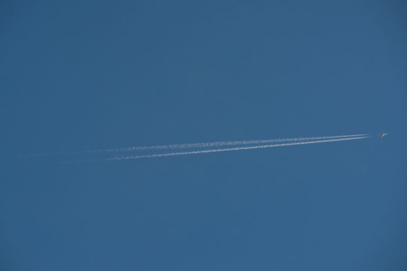 a0278914_673115.jpg