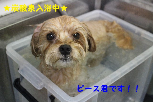 映画見まくり～！！_b0130018_8334457.jpg