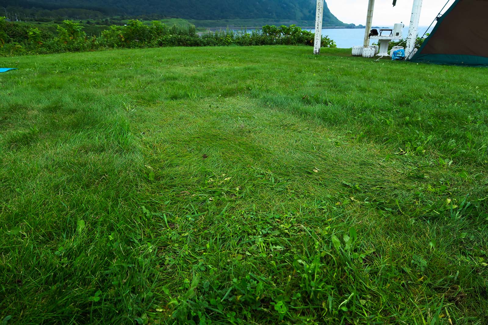 b0243727_20414570.jpg