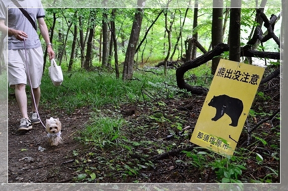 ２０１５夏  那須旅行  ～ 観光・木の俣渓谷 ～_d0179828_15204611.jpg