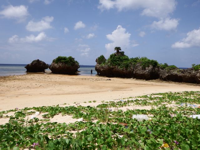 a0254130_10233699.jpg