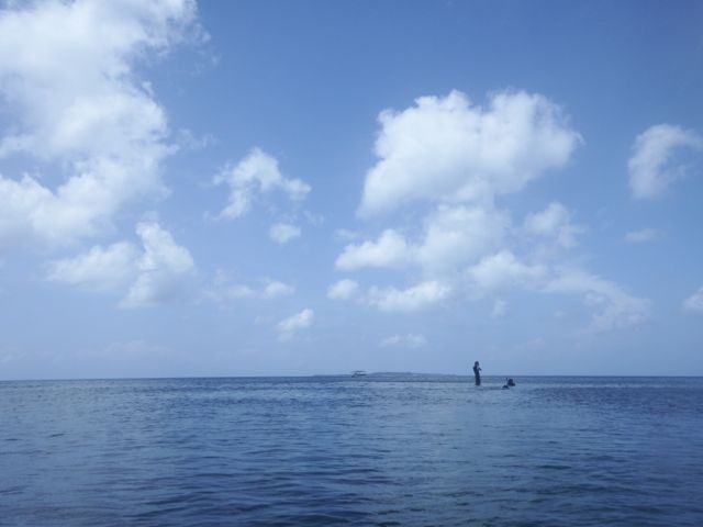 a0254130_1026458.jpg