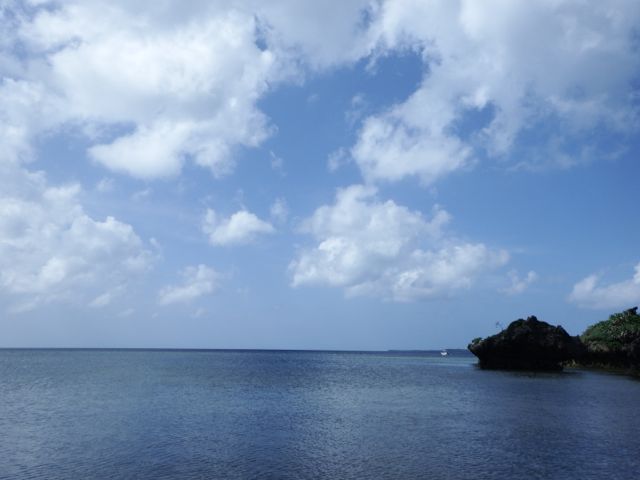 a0254130_1026582.jpg