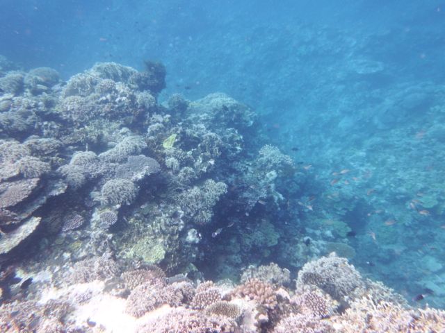 a0254130_10293285.jpg