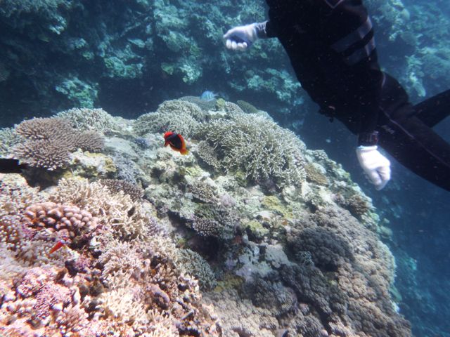 a0254130_10311664.jpg
