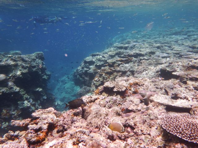a0254130_10363511.jpg