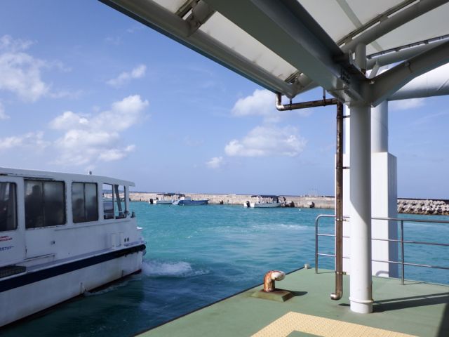 a0254130_1121111.jpg