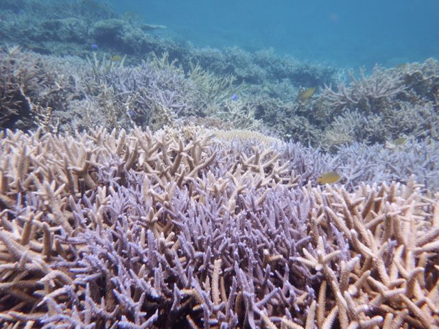 a0254130_1129029.jpg