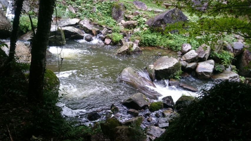 c0167336_1231469.jpg