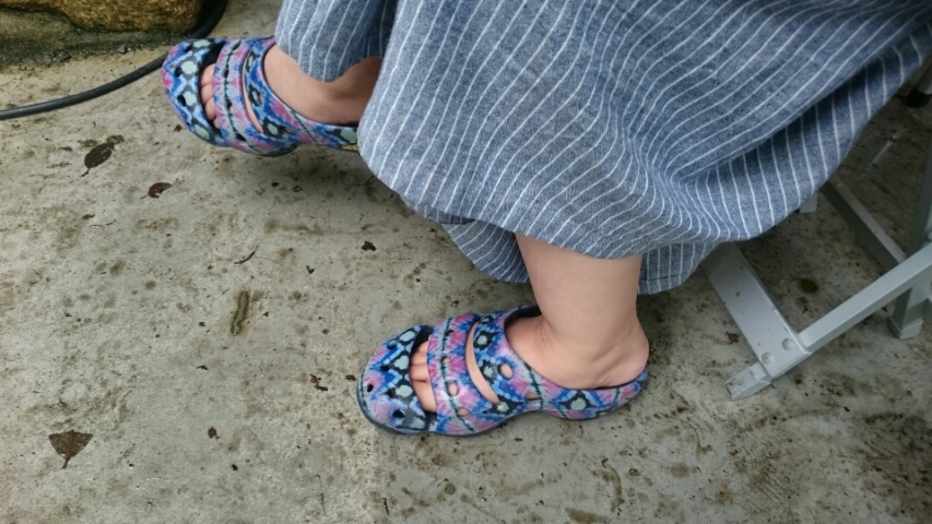 c0167336_1231531.jpg