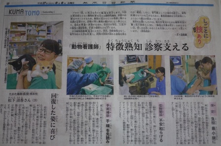 熊本日日新聞2015年8月8日掲載猫 空編。_a0143140_22425957.jpg