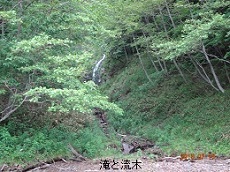 e0020752_1852132.jpg