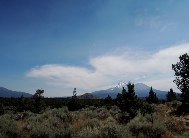 b0173754_14123583.jpg
