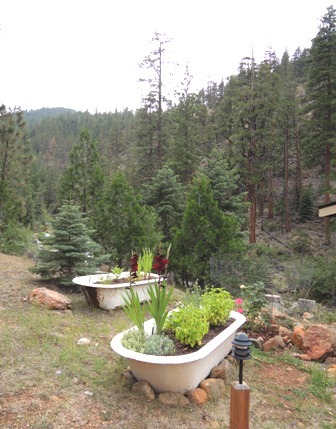 b0173754_14454608.jpg