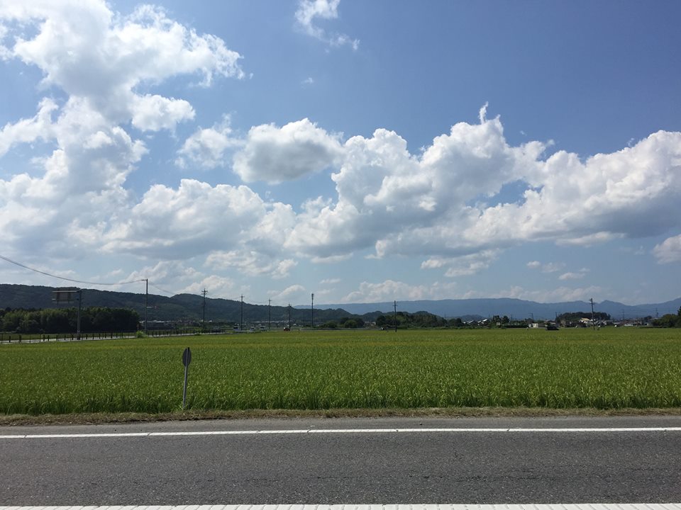 c0115560_9424632.jpg