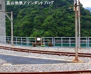 トロッコでひんやり 富山の避暑地へ_a0243562_12035904.jpg